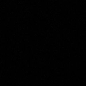 Meet your Posher, Allen